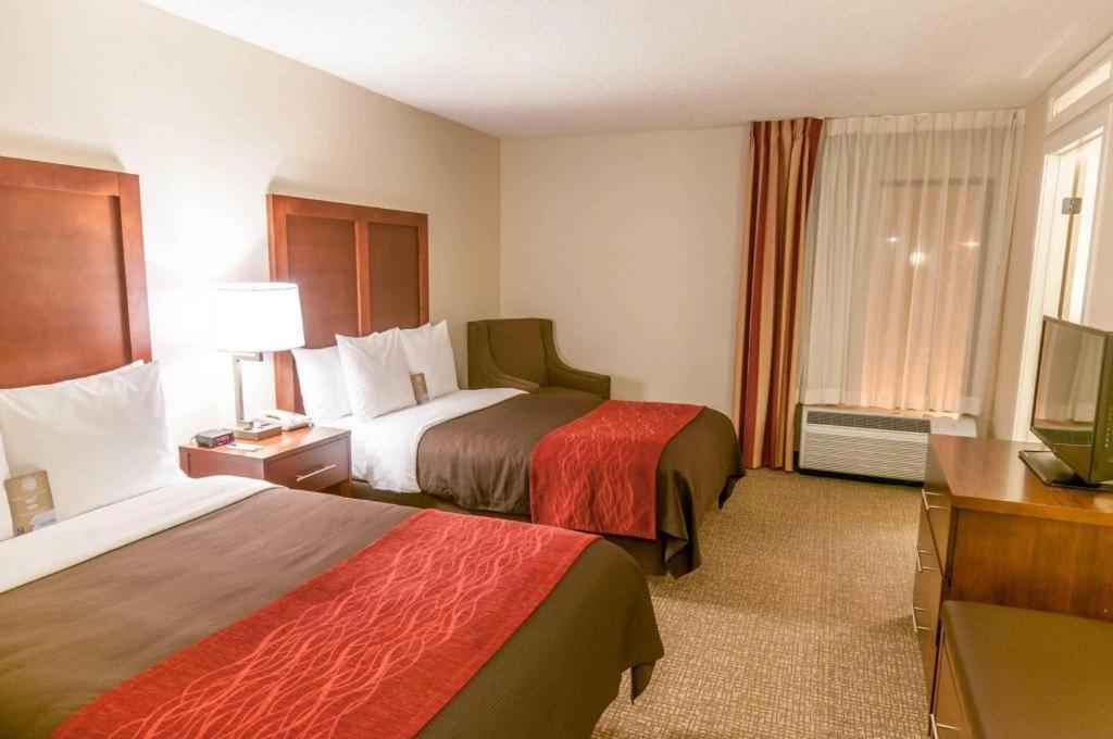 Comfort Inn Quantico Stafford Exterior photo